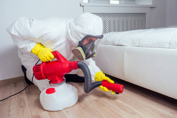 Best Best Pest Control Companies  in Fallon, NV