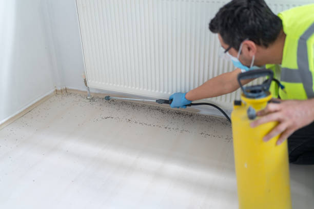 Pest Prevention Services in Fallon, NV